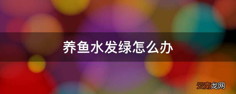 养鱼水发绿怎么办