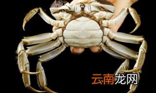 螃蟹煮多长时间能吃 螃蟹煮多长时间能吃了