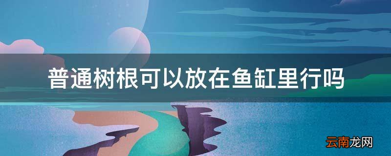 普通树根可以放在鱼缸里行吗