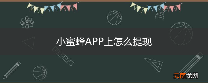 小蜜蜂APP上怎么提现