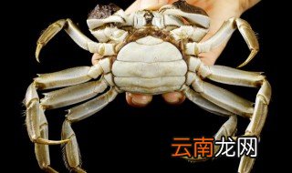 螃蟹煮多长时间最合适吃 螃蟹煮多长时间最合适