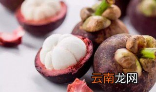 山竹如何养 水山竹怎么养