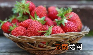 草莓切了能放冰箱保存吗多久 草莓切了能放冰箱保存吗