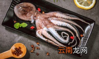 章鱼放冰箱保存能活吗多少度 章鱼放冰箱保存能活吗