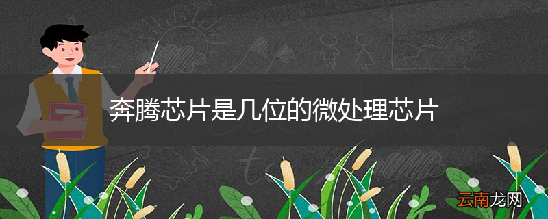 奔腾芯片是几位的微处理芯片