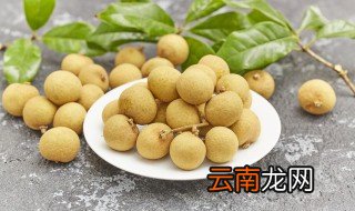 鲜桂圆能放冰箱保存吗 鲜桂圆可以放冰箱保存吗
