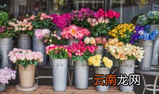 家里养花总是枯叶是怎么回事，养花叶子干枯怎么回事
