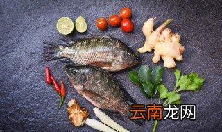 捞出来的鱼能放冰箱保存吗 捞出来的鱼能放冰箱保存吗吗