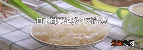 白木耳要泡多久才能煮