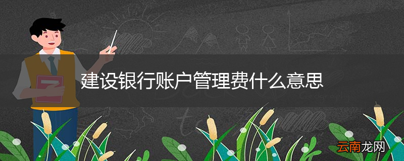 建设银行账户管理费什么意思
