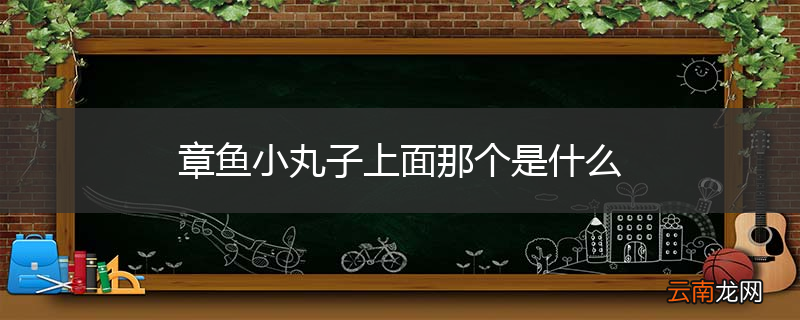章鱼小丸子上面那个是什么