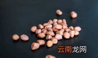 花生的种植与管理 花生的种植与管理相关知识