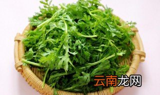 茼蒿洗过了可以放冰箱冷藏吗? 茼蒿能放冰箱里保存吗