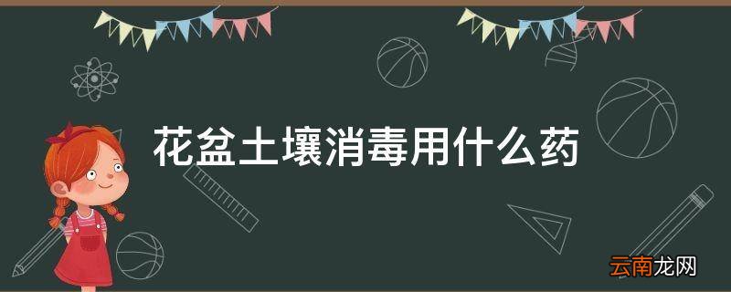 花盆土壤消毒用什么药
