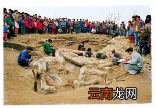 四川自贡市穷吗,自贡这个城市怎么样？