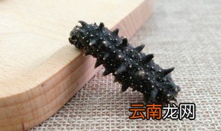 白海参和黑海参有什么区别 如何区别白海参和黑海参