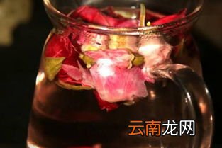 买养生茶哪个牌子好,哪个品牌的养生茶效果好？