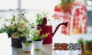 家里养花死得快是怎么回事，家中养的花死了什么预兆