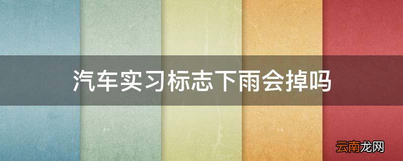 汽车实习标志下雨会掉吗