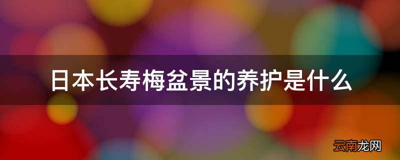 日本长寿梅盆景的养护是什么