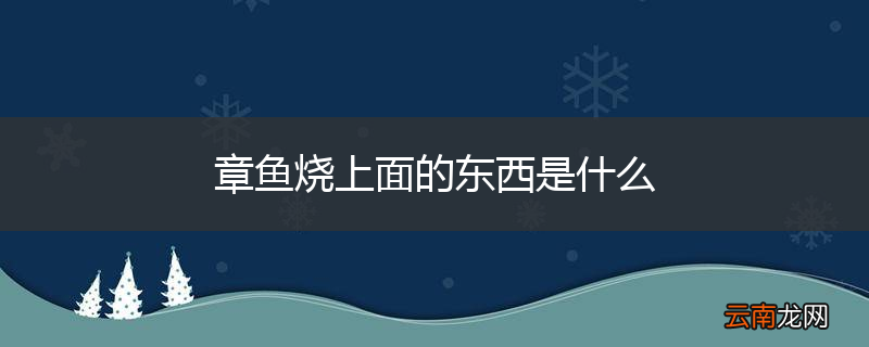 章鱼烧上面的东西是什么