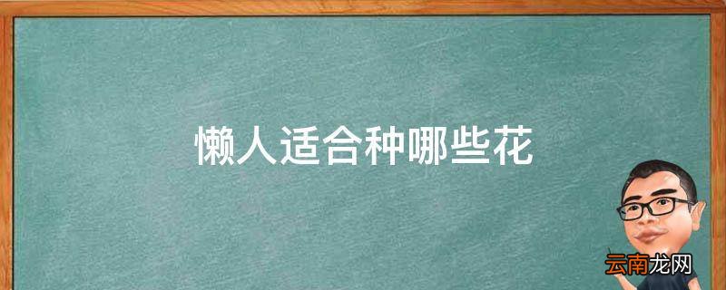 懒人适合种哪些花