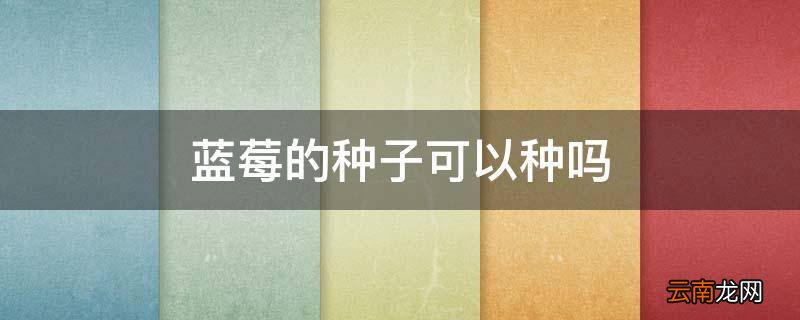 蓝莓的种子可以种吗