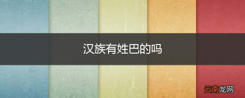 汉族有姓巴的吗