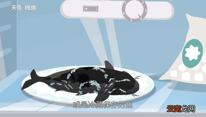 死鱼能吃吗 超市的死鱼可以吃吗