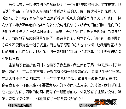 wps插入索引具体操作步骤介绍