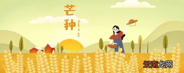 芒种习俗有哪些 芒种习俗有什么习俗