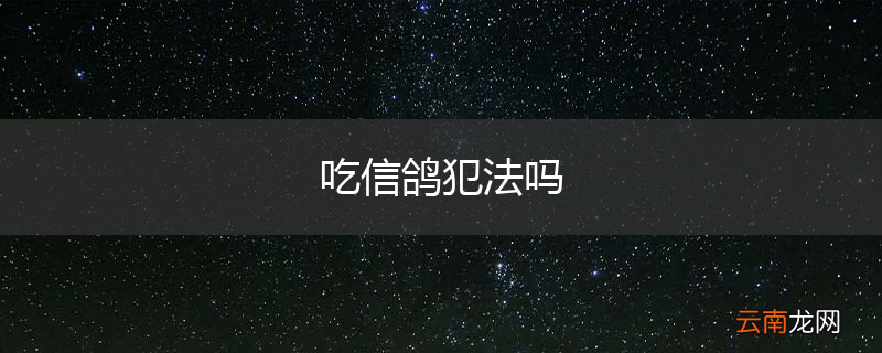 吃信鸽犯法吗
