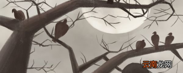 乌鸦反哺的故事告诉我们什么道理 乌鸦反哺启示我们的道理
