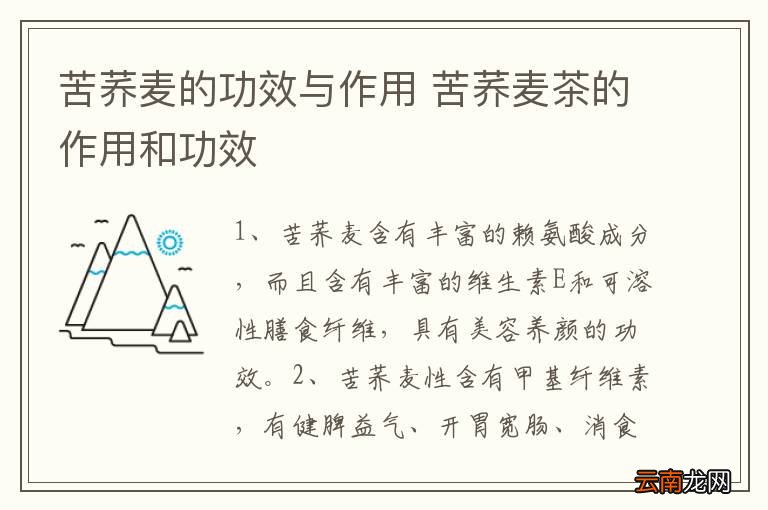 苦荞麦的功效与作用 苦荞麦茶的作用和功效