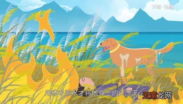 满族为什么不吃狗肉 满族现在吃狗肉吗