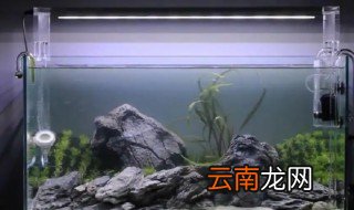 鱼缸重新开缸怎么养水，用老水怎样给新鱼缸开缸