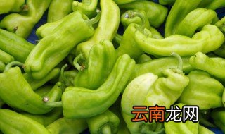腌好的辣椒能放冰箱保存吗，刚腌制的辣椒能放冰箱保存吗