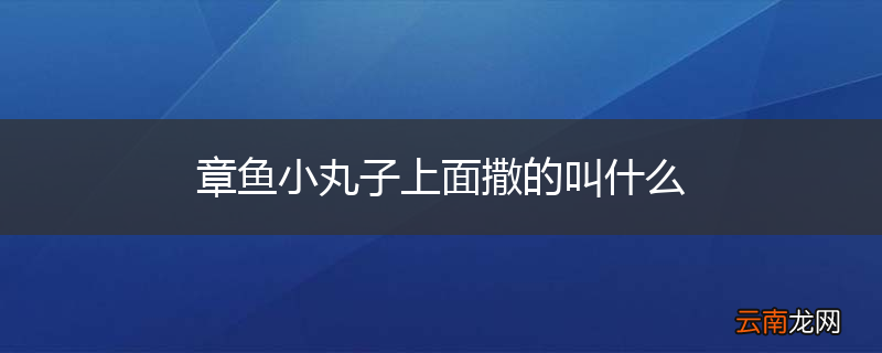章鱼小丸子上面撒的叫什么