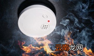 森林防火知识内容 森林防火知识内容有哪些