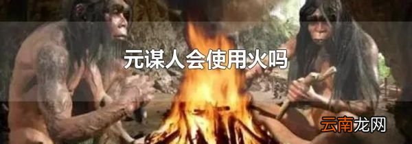 元谋人会使用火吗