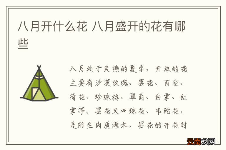 八月开什么花 八月盛开的花有哪些