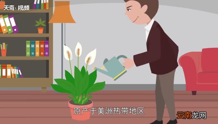 八月开什么花 八月盛开的花有哪些