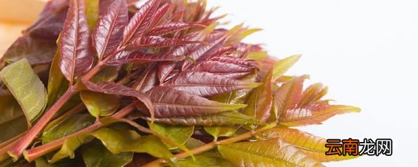 香椿的保鲜储存方法 香椿的做法