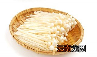 金针菇英文名 金针菇的英名是什么