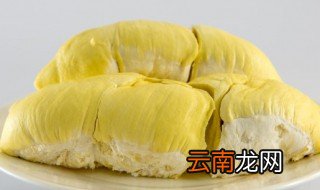 榴莲怎么挑选好吃榴莲怎么挑肉多 怎么挑选榴莲肉多好吃