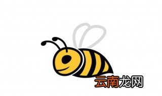 泥蜂的巢被清理了还来吗 泥蜂的巢被清理了还会不会来
