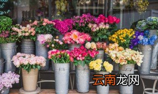 养花如何保持空气湿润 家里养花怎么能增加空气湿度