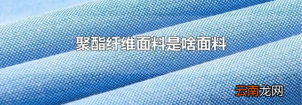 聚酯纤维面料是啥面料