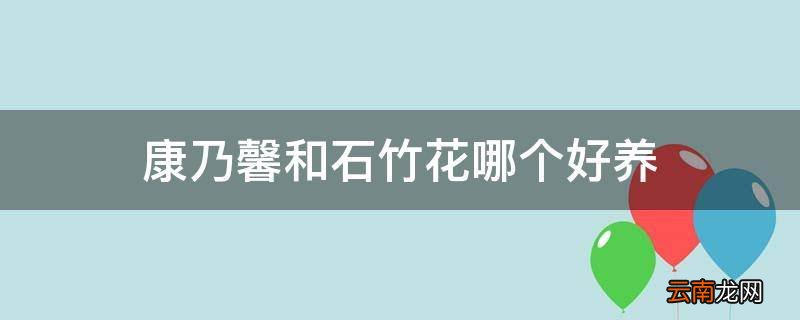康乃馨和石竹花哪个好养