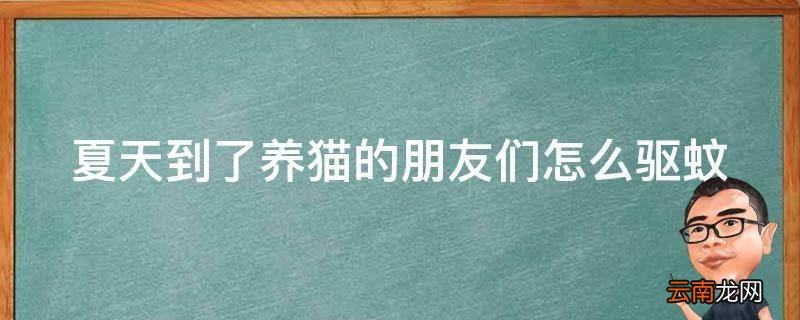 夏天到了养猫的朋友们怎么驱蚊